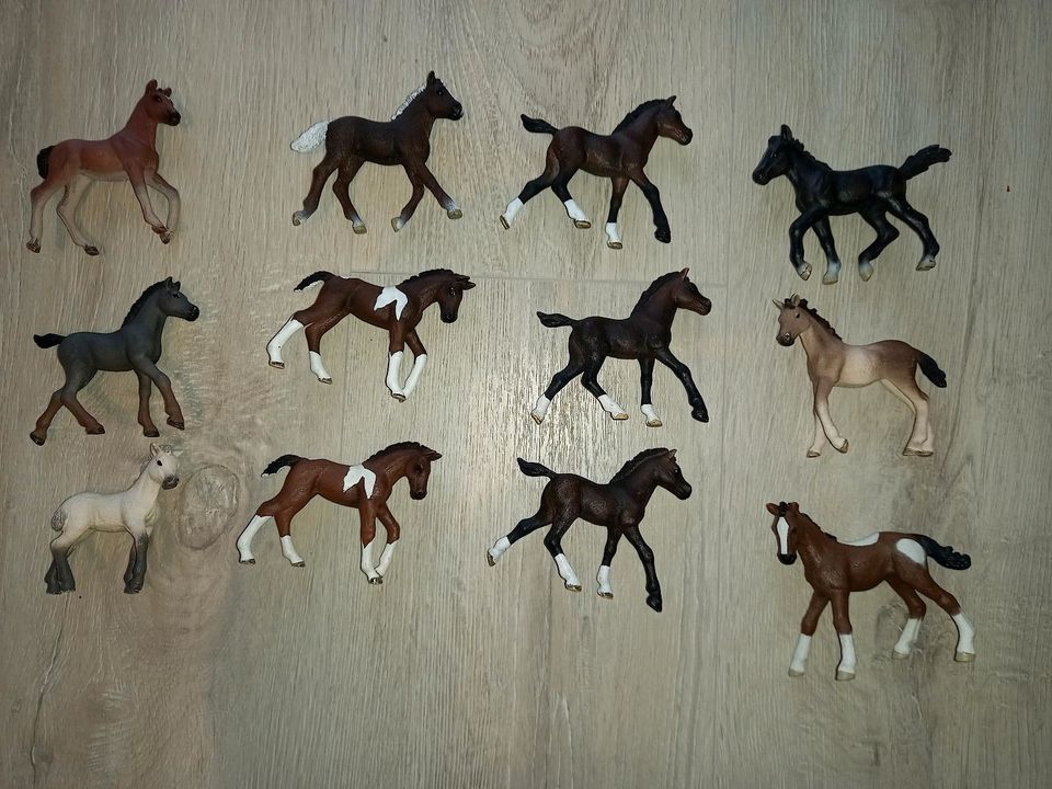 Schleich Fohlen Pferde Horse Club diverse in Sauensiek