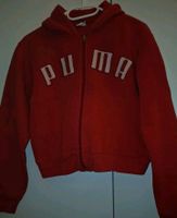 Hoodie Jacke Niedersachsen - Rotenburg (Wümme) Vorschau