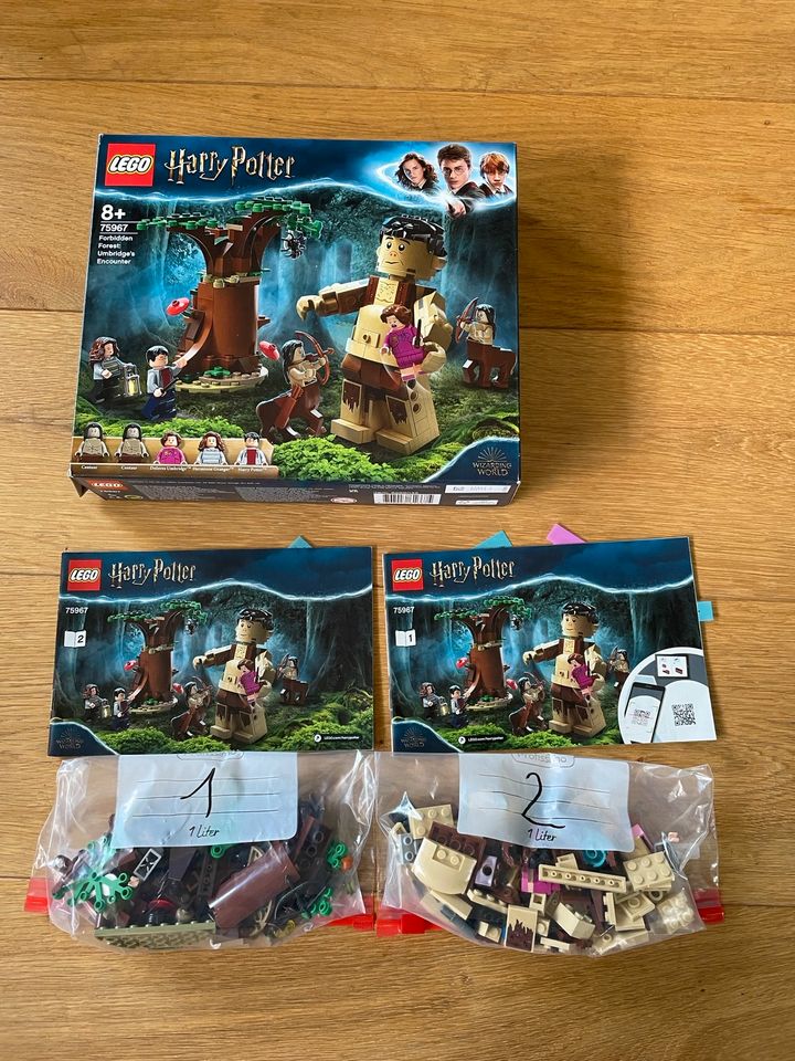 Lego Harry Potter, 75967, komplett in Stephanskirchen