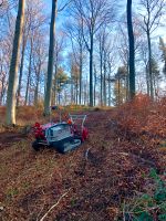 Forstmulchen Fräsen Rücken Vorliefern Forstraupe Rodung Rheinland-Pfalz - Gierschnach Vorschau