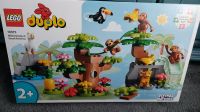 10973 lego duplo Wandsbek - Hamburg Rahlstedt Vorschau