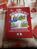 Großes Wilhelm Busch Buch seine schönsten Geschichten Schwänke Baden-Württemberg - Langenargen Vorschau