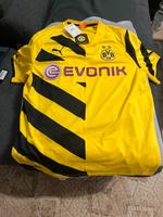 BVB Trikot Thüringen - Jena Vorschau