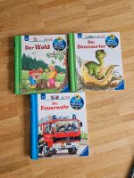 Wieso weshalb warum junior Dinosaurier Feuerwehr Rheinland-Pfalz - Mainz Vorschau