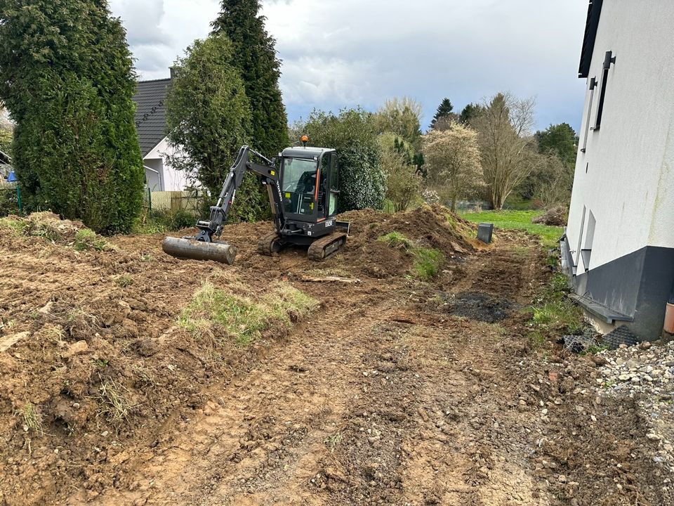 Heckenschnitt, Rückschnitt, Rasenmähen, Gartenarbeit in Leichlingen