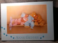 Puzzle Anne Geddes 1500 Teile NEU Schmidt 57982 "Drei kleine Bäre Hessen - Langenselbold Vorschau