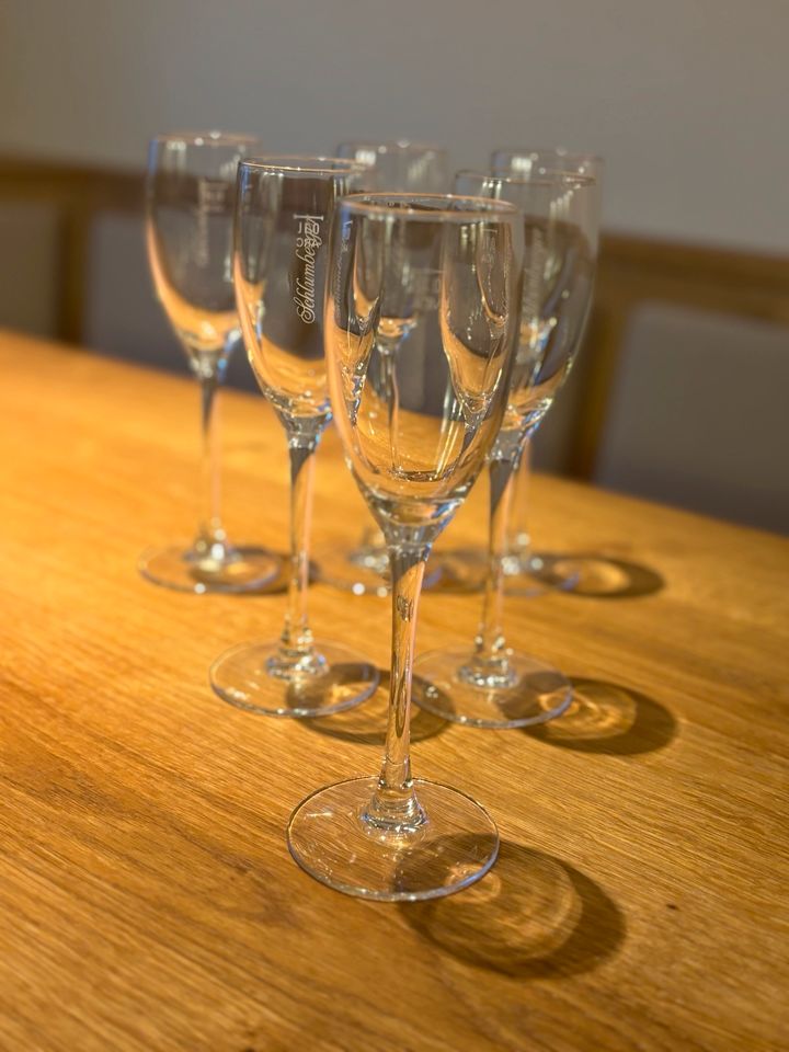 6 Vintage Champagnerflöten von Schlumber Sekt Glas Gläser 1980 in Blaichach