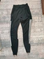 Hose von adidas Bayern - Ansbach Vorschau