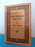 Franz Schuberts letzte Liebe von 1928 Buch Roman Hessen - Lindenfels Vorschau