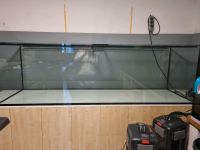 Verkaufe mein 200x60x60 Aquarium in einem top Zustand wie neu Hessen - Nidda Vorschau