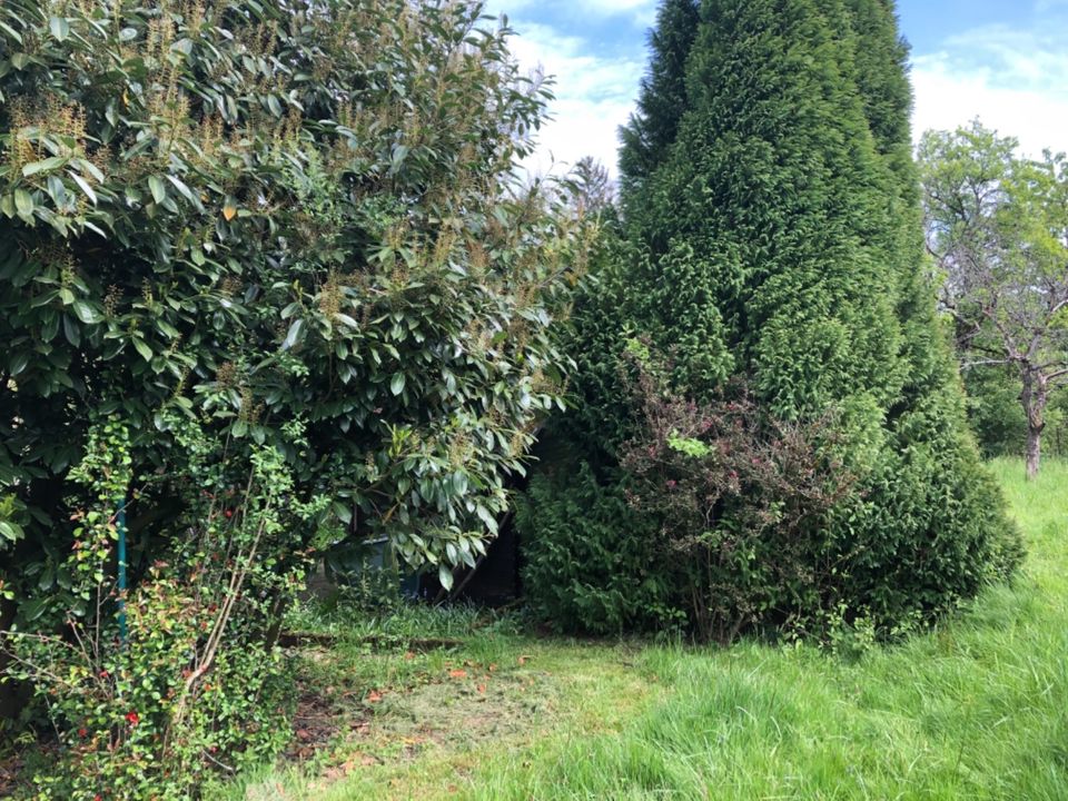 Garten mit Obstbaumbestand in Esslingen Hegensberg in Esslingen