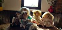 Verschiedene Porzellanpuppen Puppen mit Kleider gebraucht Bayern - Geroda Vorschau