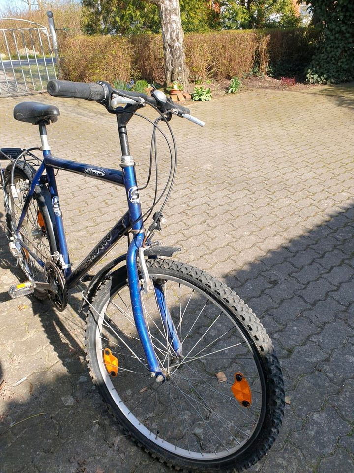 Herren  Fahrrad in Heiligenhafen 