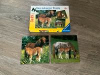 2 tolle Pferde Puzzle von Ravensburger Rheinland-Pfalz - Dichtelbach Vorschau