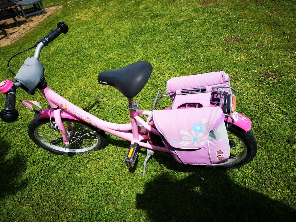 Puky Fahrrad 16 Zoll Prinzessin Lillifee in Bornheim