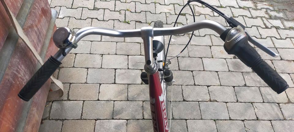 28 Zoll Damenfahrrad Rad 7 Gänge in Eichstegen