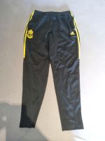 Adidas FC Liverpool hose training Gr m Schwarz 2010/11 Bayern - Waidhofen Vorschau