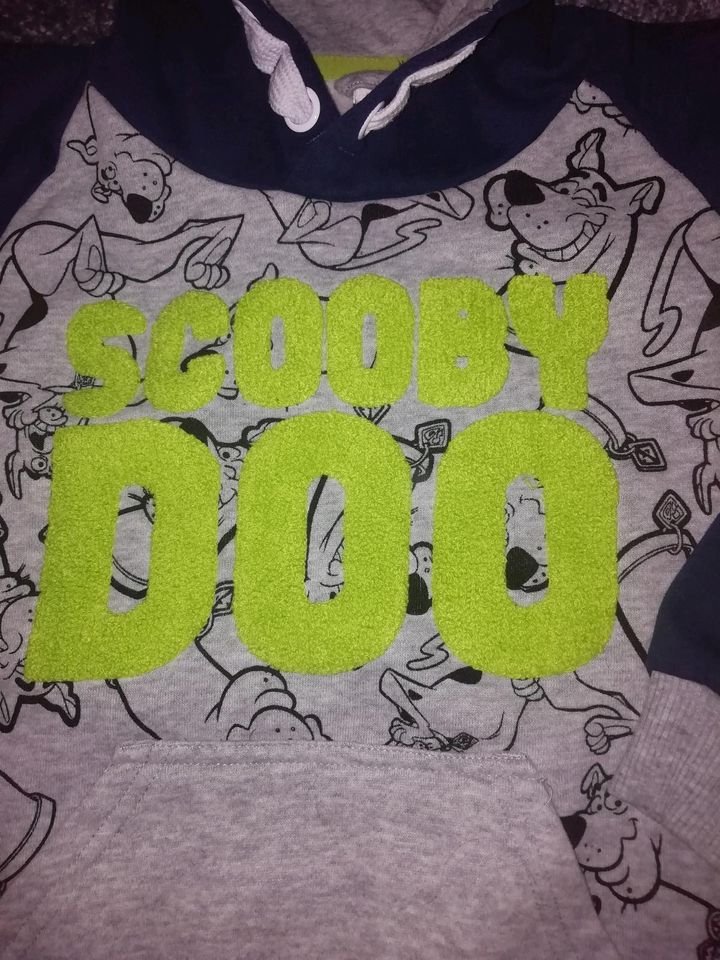 *COOLCLUB * Pulli Sweatshirt Kapuze Scooby-Doo ⚡Neu for next boy in Goehren