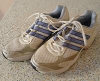 ADIDAS Laufschuhe Litestrike 55 / GEO FIT Bayern - Fürth Vorschau