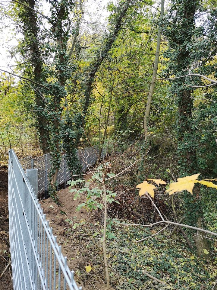 Wildschweinschutz-Zaun Garten Stabgitterzaun in Leipzig