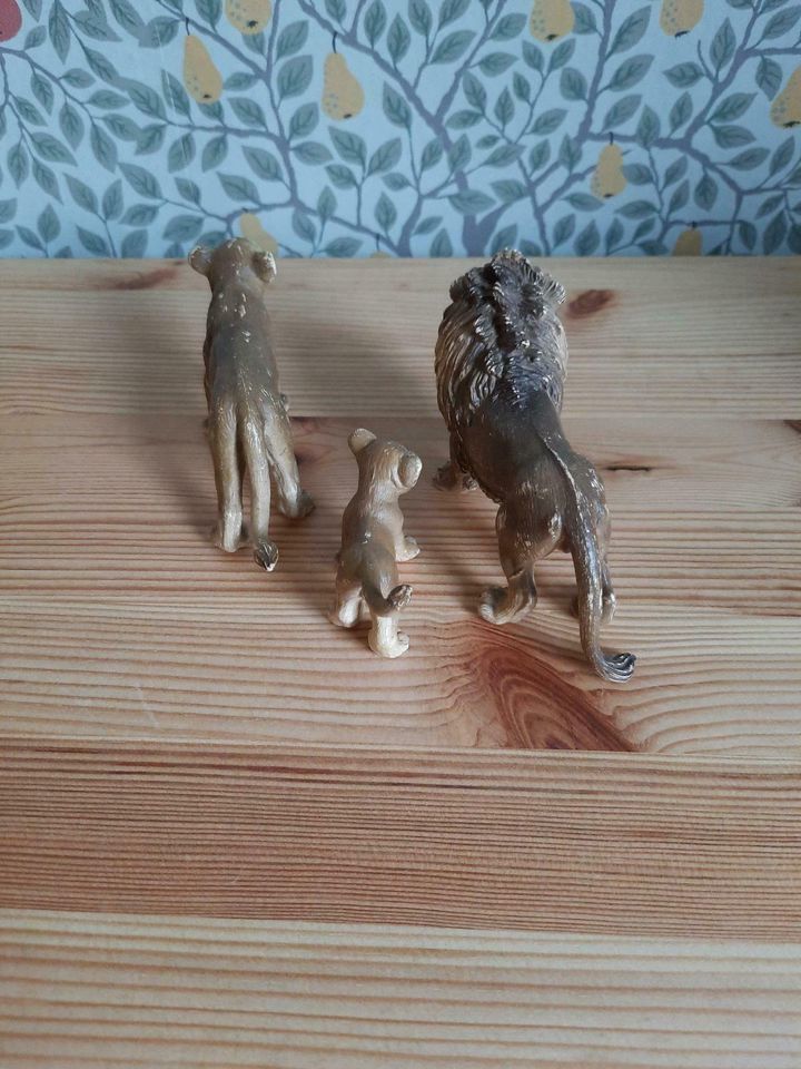 Schleich Löwenfamilie in Drochtersen