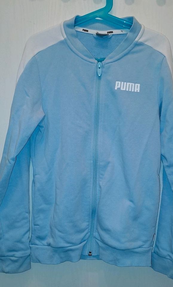 Sweatjacke Puma hellblau 146 152 sehr gut in Neuss