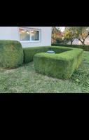 Gartenarbeit aller Art, Heckenschneiden, Gartenpflege, Gärtner Aachen - Aachen-Mitte Vorschau