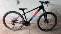 Mountainbike Serious Eightball 27,5 Niedersachsen - Dassel Vorschau