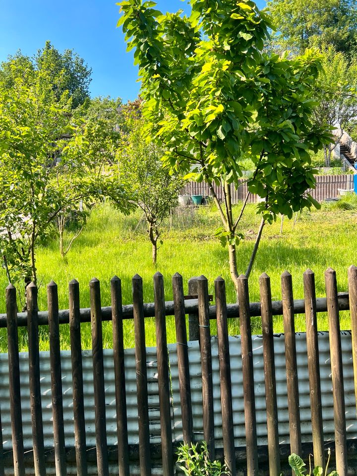 Streber Garten in Essen