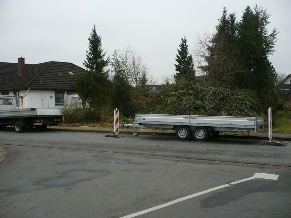 Containerdienst für Strauchschnitt,Hecken,Büsche u.s.w. bis 12 m³ in Ganderkesee