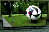 Panasonic TX-49EXF687 | Fußball EM auf 49 Zoll in Premiumqualität Brandenburg - Steinhöfel Vorschau