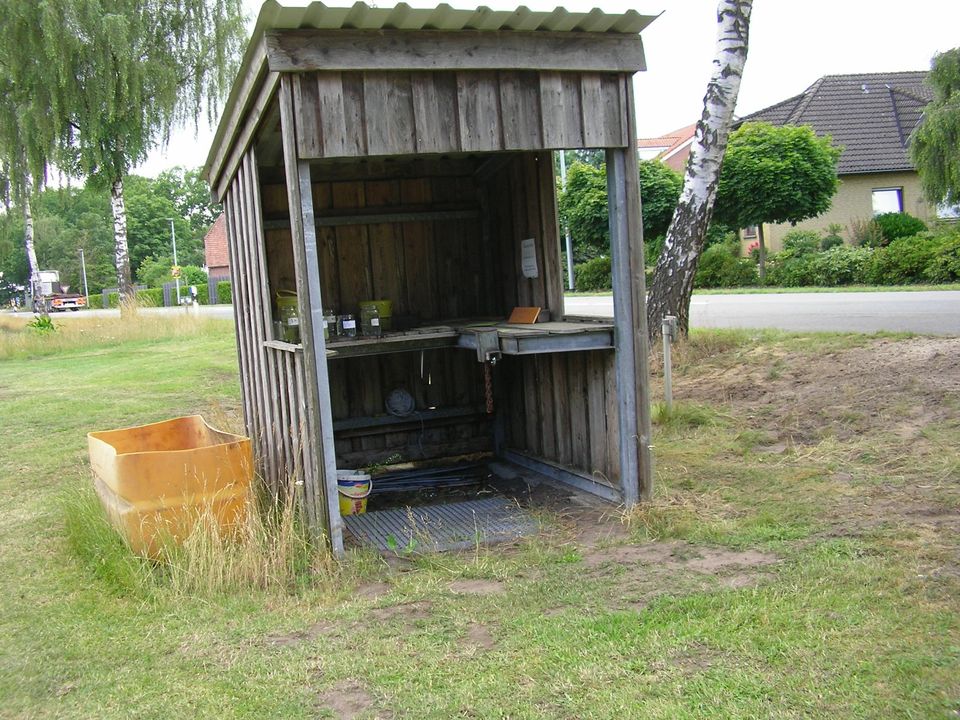 Blumen  selber schneiden in Gyhum