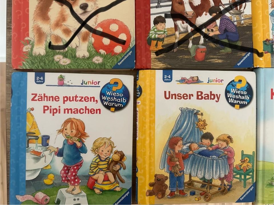 Wieso weshalb warum 2-4 Bücher , 2,50€ je Buch in Schornsheim