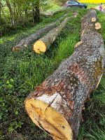 Stammholz zu verkaufen Hessen - Linden Vorschau