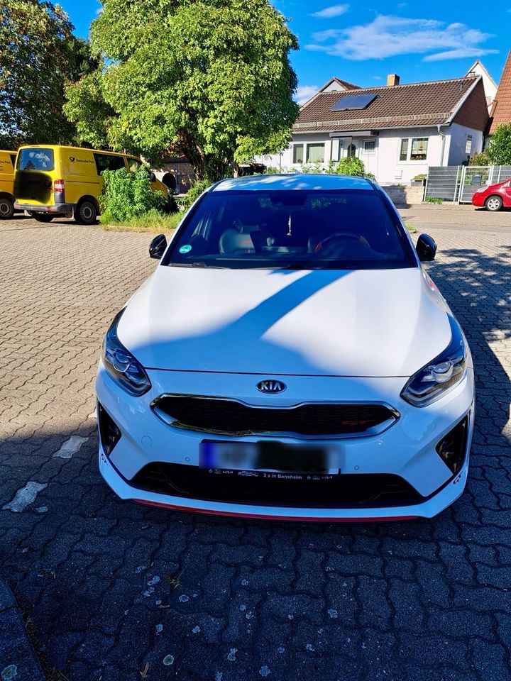 KIA Ceed GT in Lampertheim