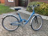 Dahmen Fahrrad 28 Zoll von Hercules Schleswig-Holstein - Sankt Margarethen Vorschau