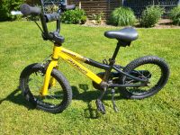 Mountainbike, Fahrrad, Junge, 16 Zoll, Top Zustand Hessen - Biblis Vorschau