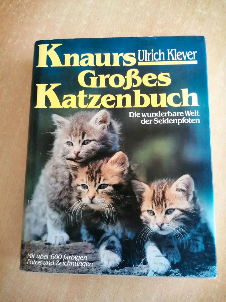 Knaurs Großes Katzenbuch in Scheeßel