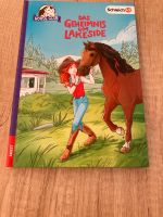 Mädchen Buch Schleich Horse Club Neuwertig Hessen - Breuberg Vorschau