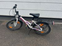 Schönes Kinderfahrrad 20 Zoll Baden-Württemberg - Weissach im Tal Vorschau