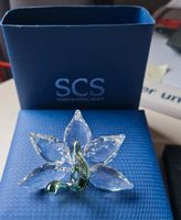 SWAROVSKI SCS Club 1142858 Orchidee Hessen - Reichelsheim (Wetterau) Vorschau