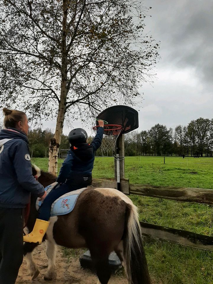 Tiergestützte Therapie, Reittherapie, Therapie mit Pferden in Osterby bei Medelby