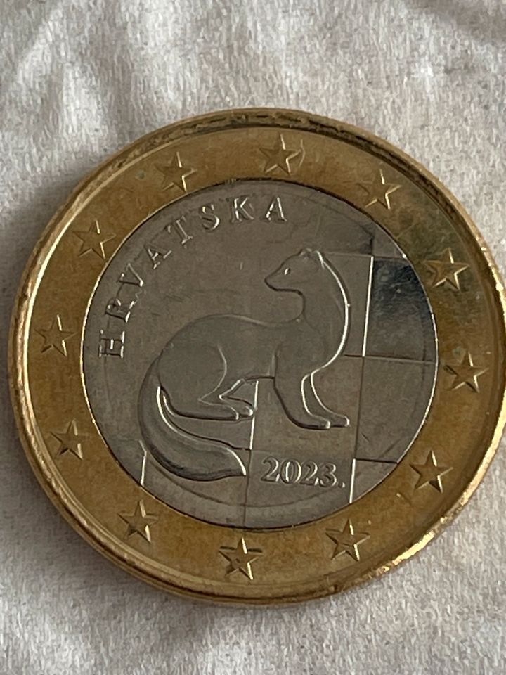 Ein Euro Stück in Braunschweig