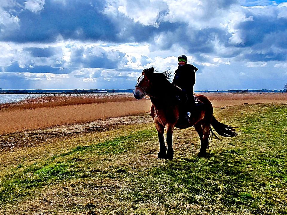 Pferdeurlaub Fair Horsemanship Retreat Ostsee Erwachsene in Saatel