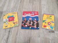 Kinder Englisch lernen Bücher Langenscheidt Hexe Lilli Nordrhein-Westfalen - Alpen Vorschau