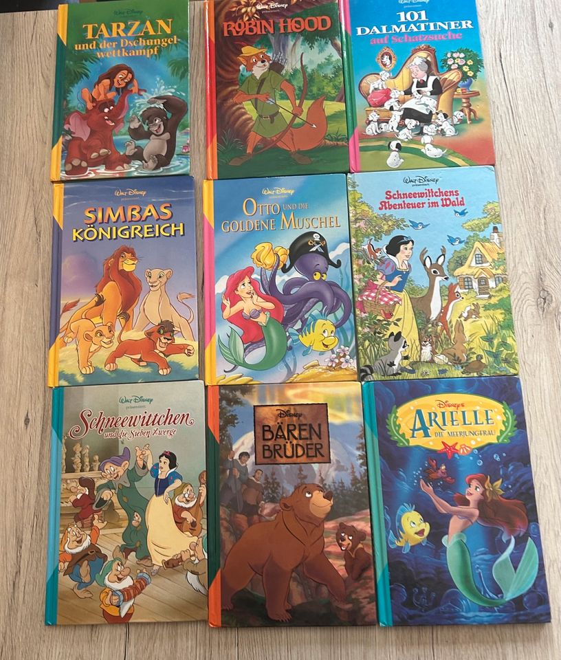 Disney Bücher in Arzberg