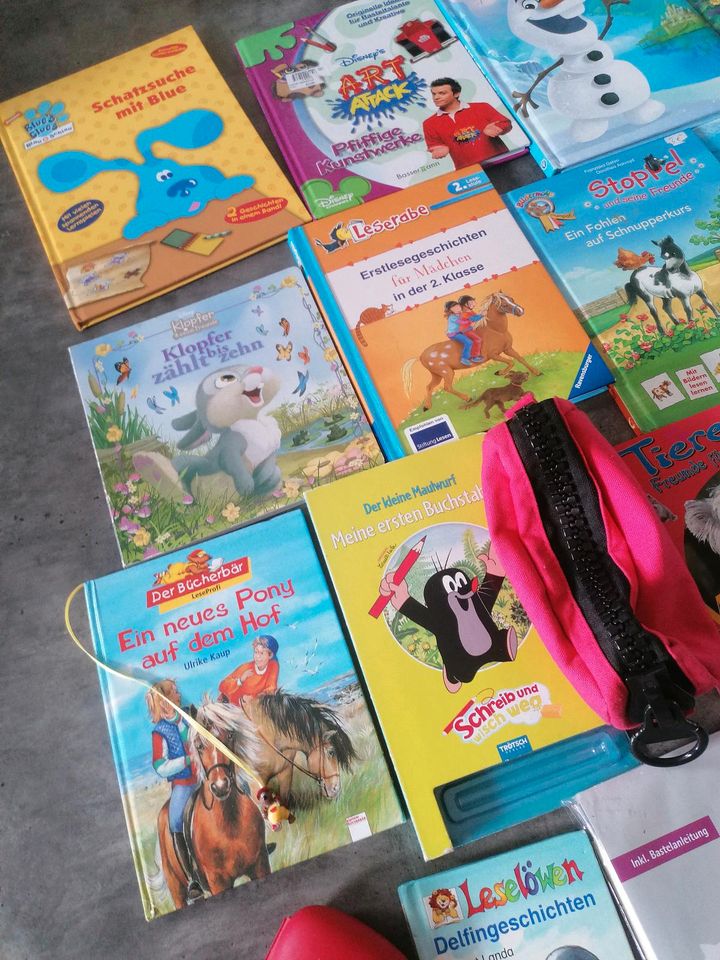 Schultüte Einschulung Pferd Zahlen Buchstaben Erstlese Elsa in Nieheim