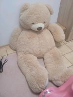 1,40 Teddybär Bayern - Ehekirchen Vorschau