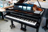 STEINWAY & SONS Flügel M-170 Bj. 1984 *Inventur SALE* Wuppertal - Vohwinkel Vorschau