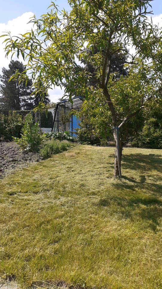 Gartengrundstück mit Laube ohne Pacht in Meuselwitz